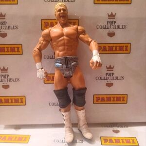 Dolph Ziggler 🔥 WWE Wrestling Action Figure Toy